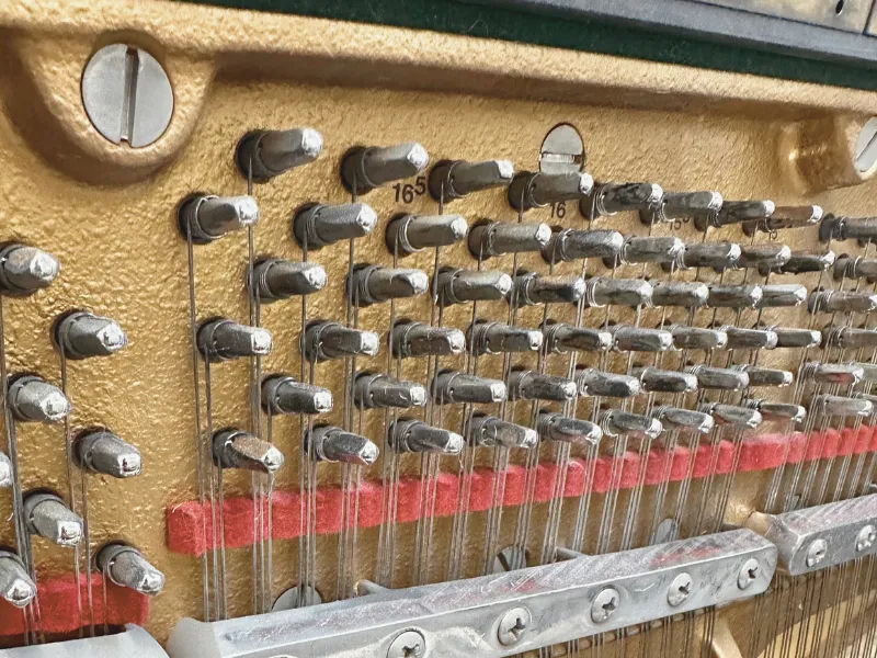Senior piano technician demonstrating precision craftsmanship