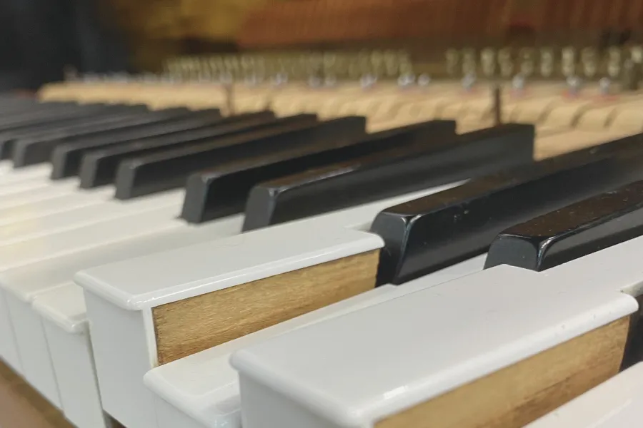 鋼琴故障診斷與零件檢查